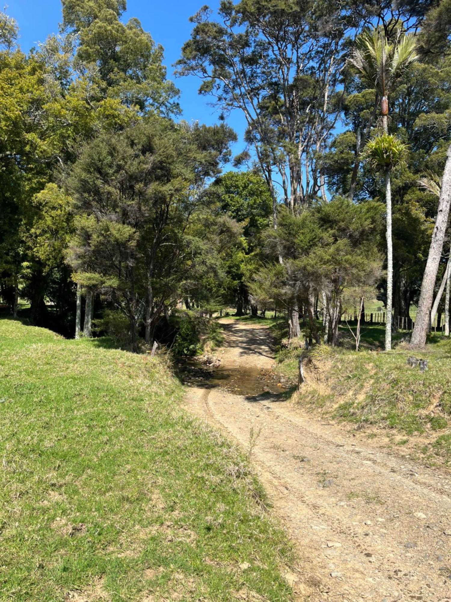 White Star Station Farm Holiday Park Coromandel ภายนอก รูปภาพ