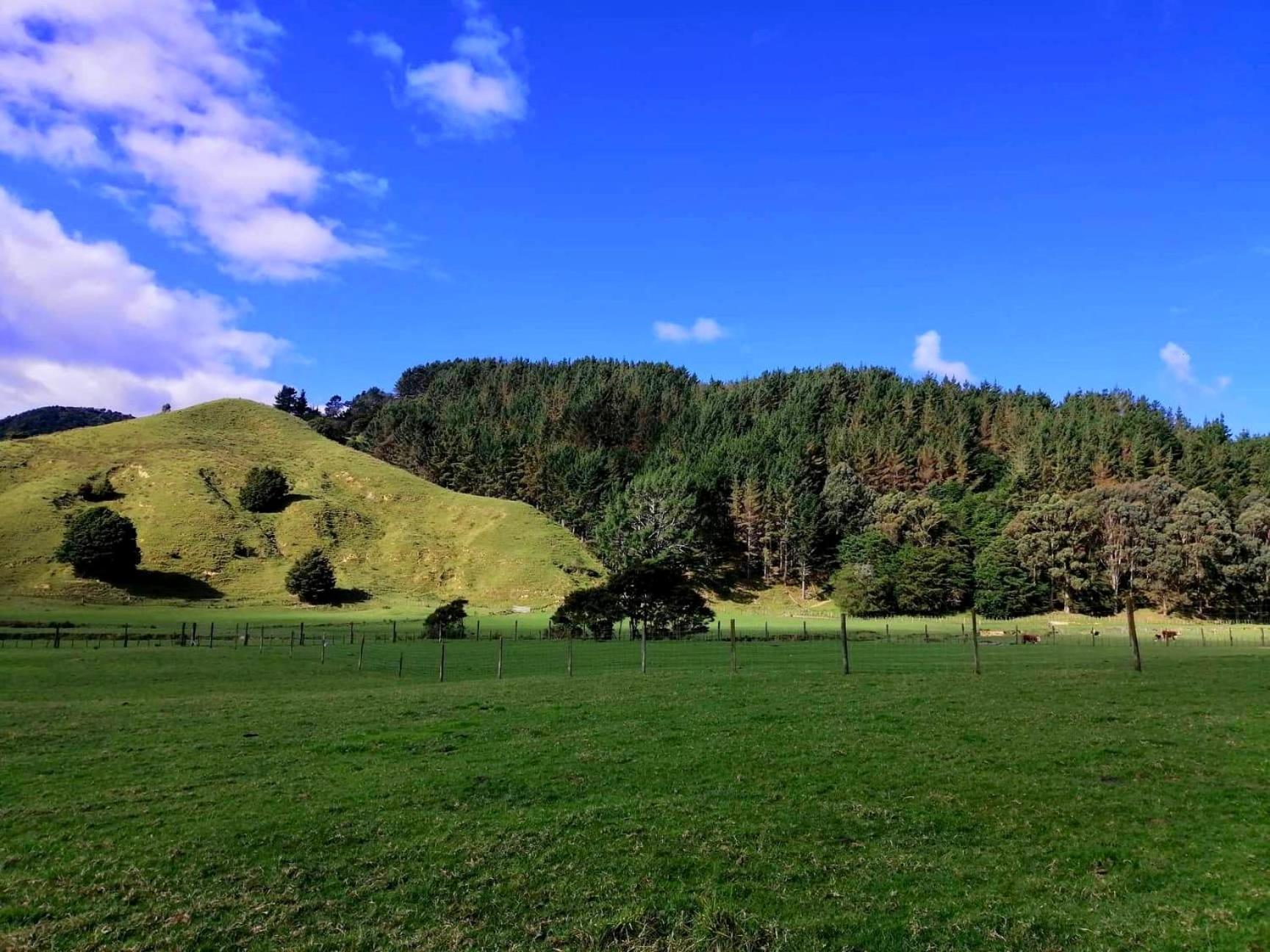 White Star Station Farm Holiday Park Coromandel ภายนอก รูปภาพ